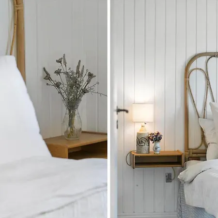 Lf11104-struer-tranebaervej-4 *